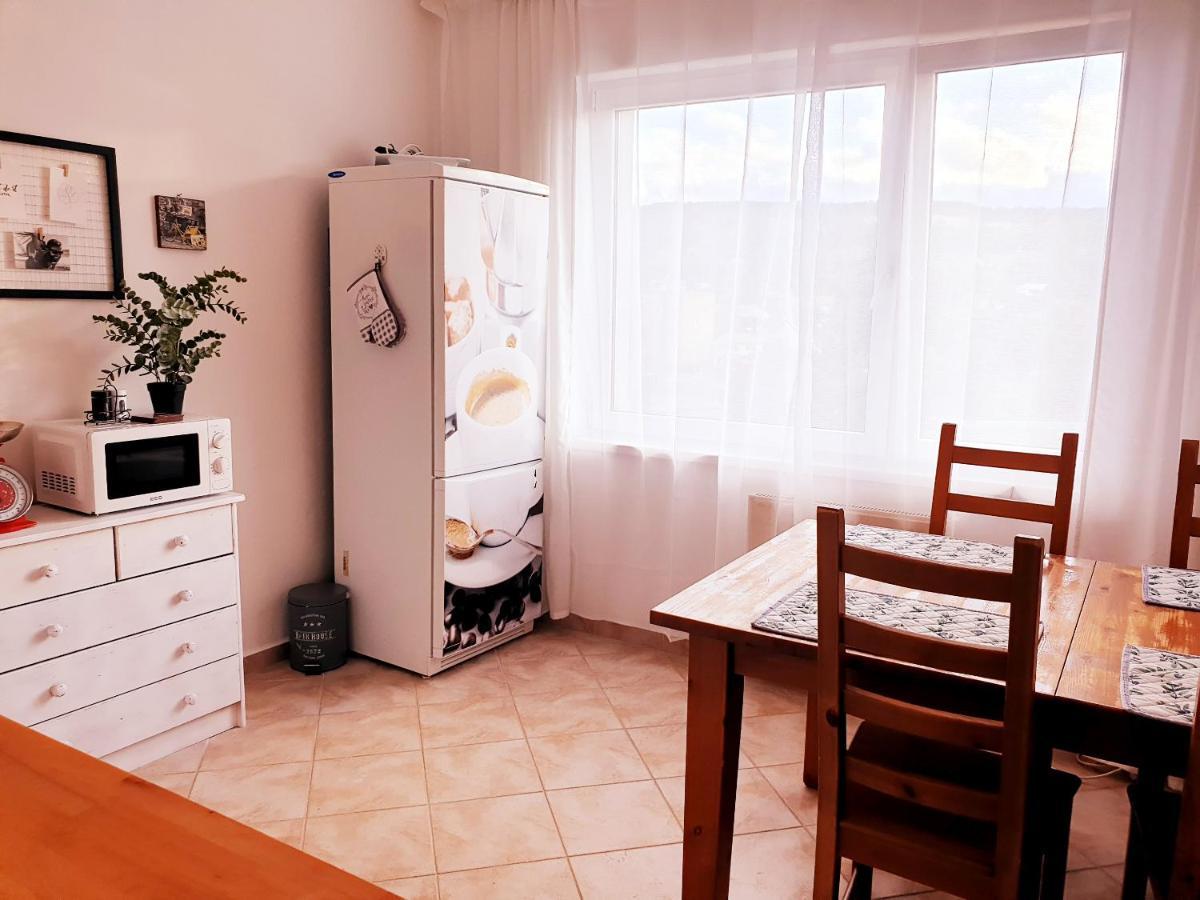 Apartman Terminal, Self Check-In 24 H, Free Parking Banská Bystrica Dış mekan fotoğraf